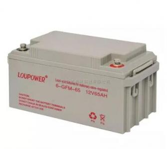 莱力蓄电池6-GFM-200